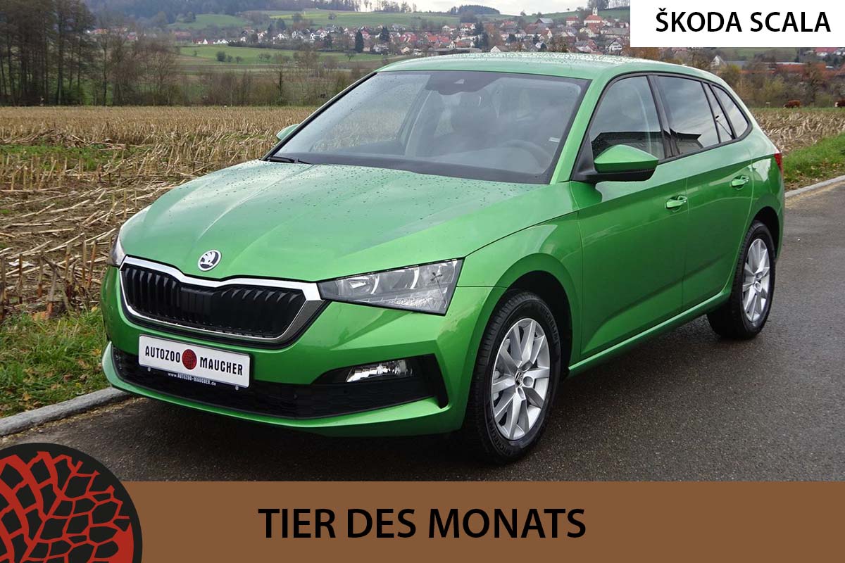 AutoZoo-Maucher GbR ŠKODA SCALA