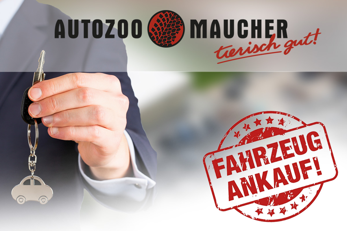 Wir kaufen dein Auto!